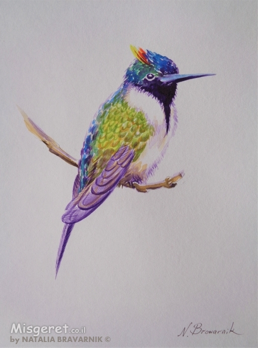 ציפור צבעני