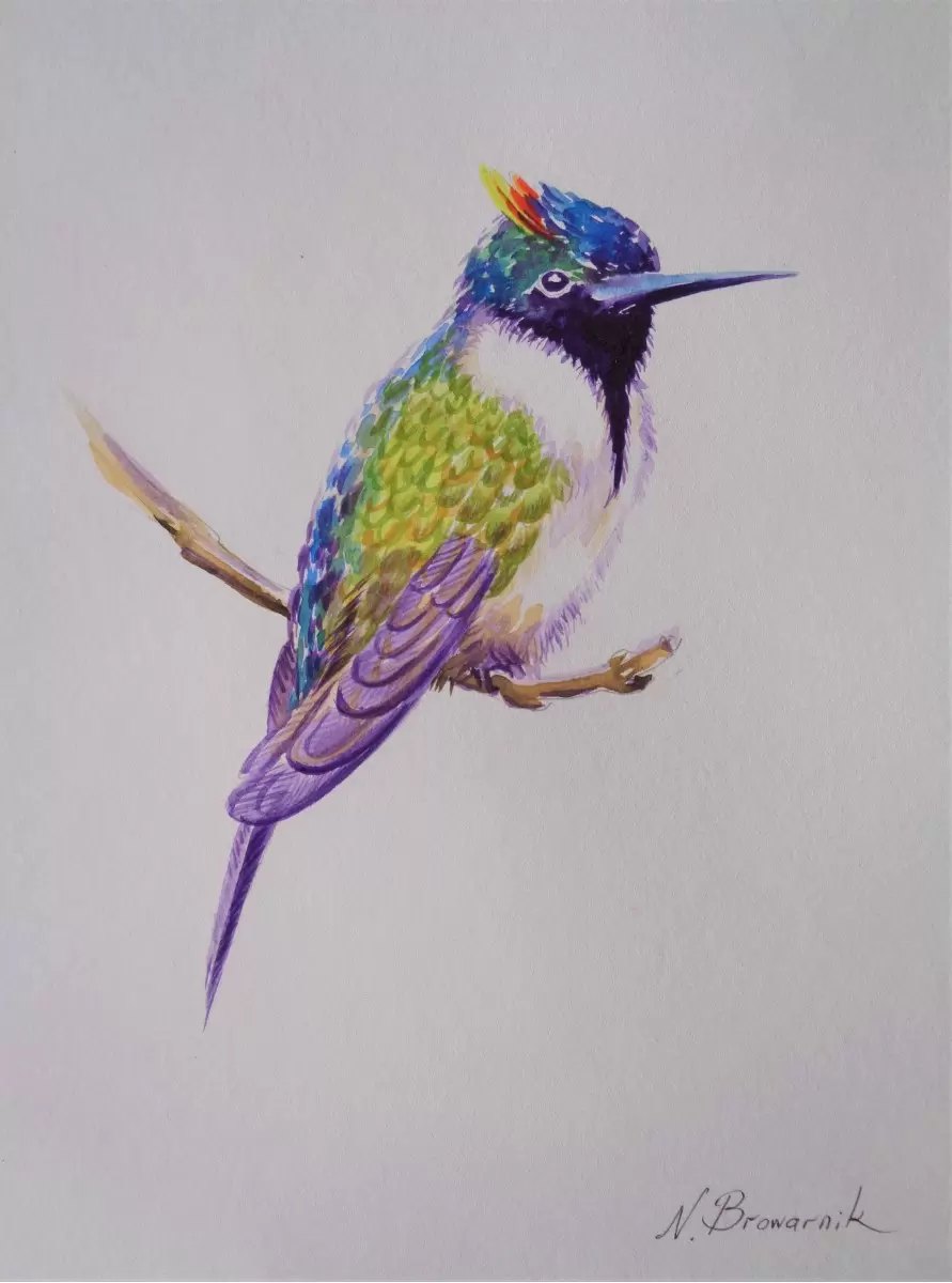 ציפור צבעני - נטליה ברברניק - צבעי מים  - מק''ט: 330613
