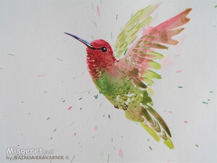 ציפור אקןןרל