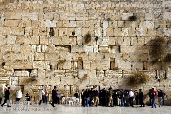 הכותל