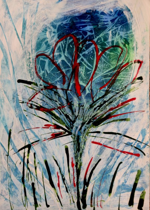 פריחה מתוך סערה