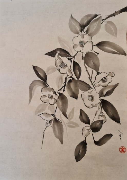 קמליות לבנות