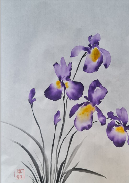 איריסים  סגולים