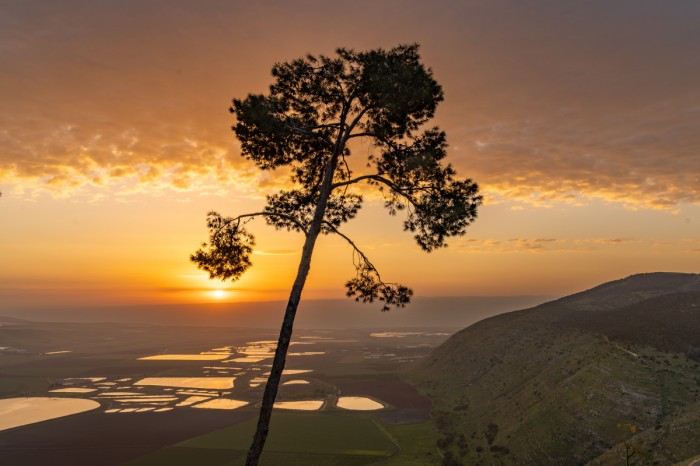 הזריחה הכתומה