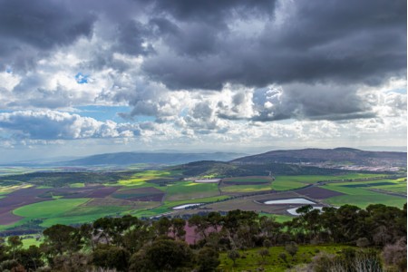 שדות ירוקים