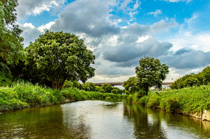 Before summer rain