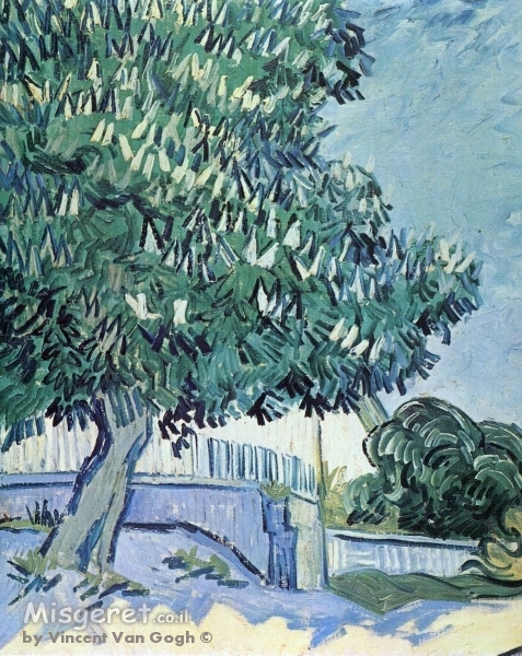 Blossoming chestnut trees