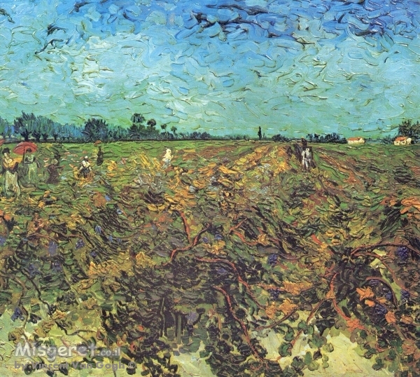 The Green Vineyard