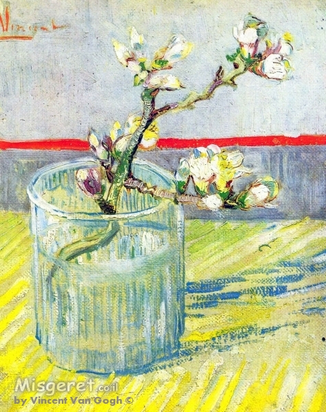 almond blossoms