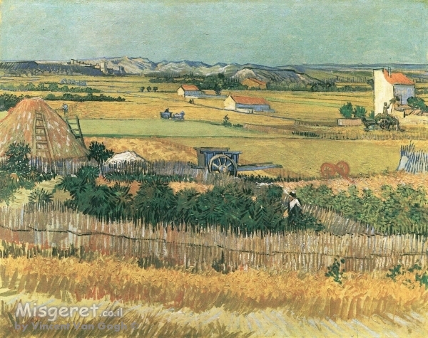  harvest at la crau