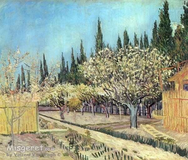 Orchard Blossom,Bordered 