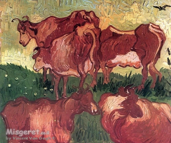  cows  