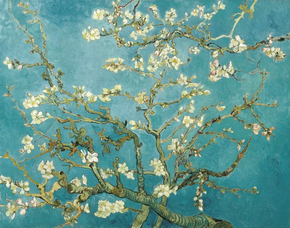 פריחת השקד - Almond Blossom - וינסנט ואן גוך - תמונות וינטג' לסלון אבסטרקט פרחוני ובוטני  - מק''ט: 392438