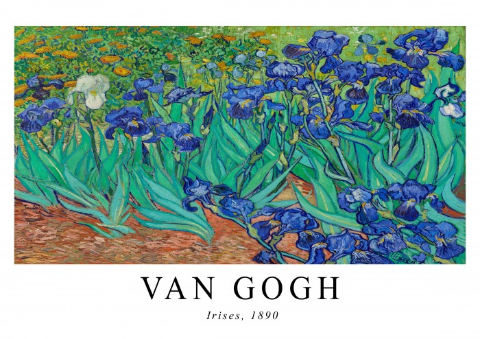 Van Gogh Irises