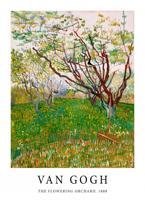 Van Gogh The Flowers Orchard