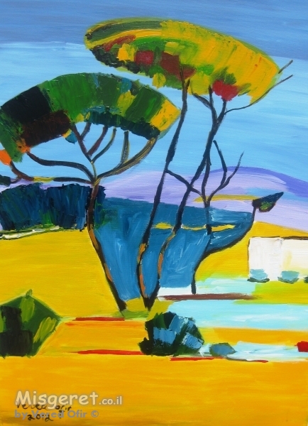 'עיצים צבעוניים