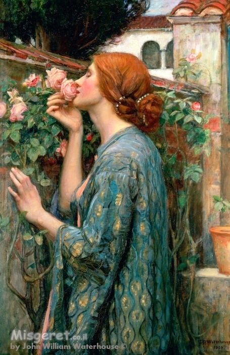 The Soul Of The Rose