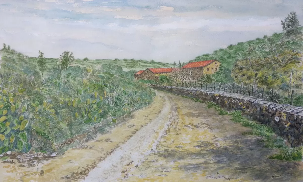 יקב אמפורה – יאיר דוד
