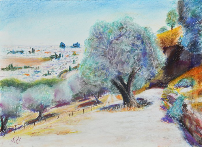 עצי זית בחווה בגיא