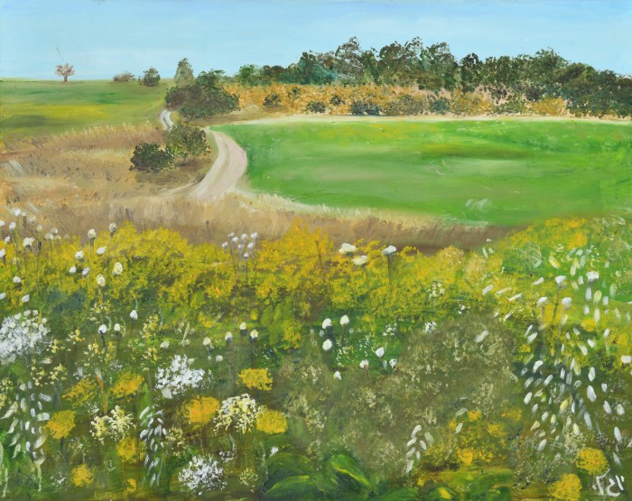 פריחה בשפלה