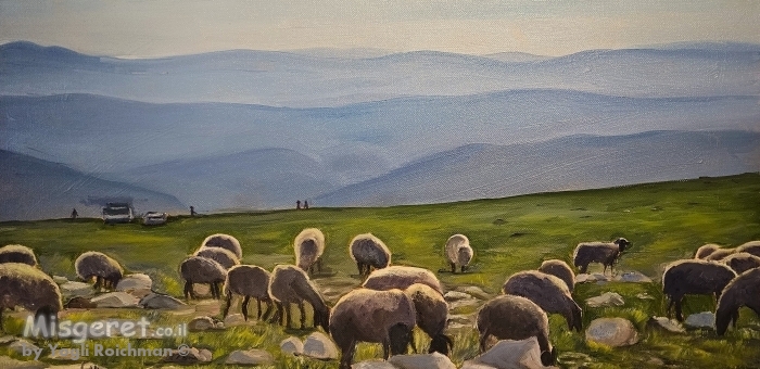 כבשים רועות באחו