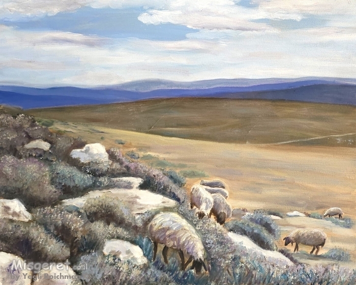 כבשים במדבר בנימין