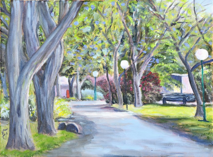 עצי סיגלון בניר עוז