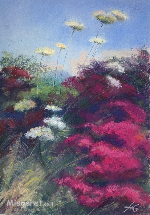 בוגנוויליה