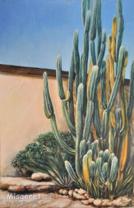 קקטוס בגינה - אלה גורליק