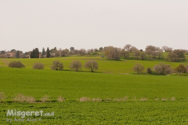 מרחבים ליד קיבוץ אלונים