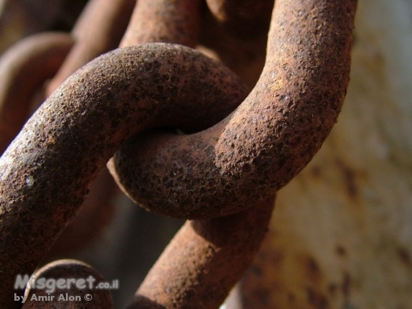 טבעות שרשרת