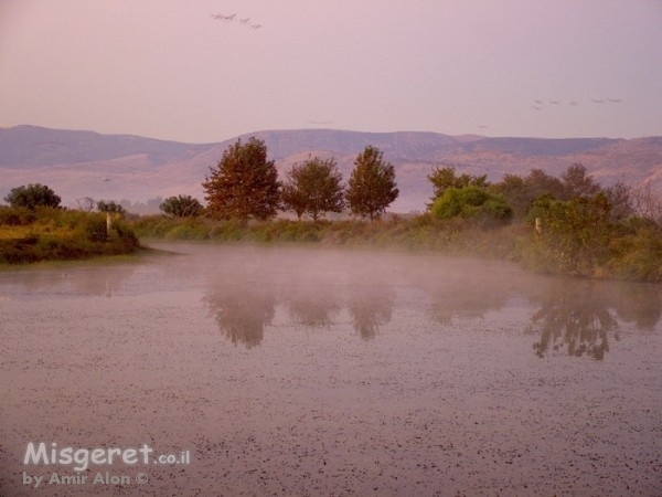 השתקפות באגם