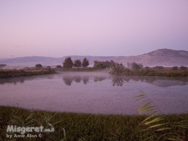 אגם החולה בחורף