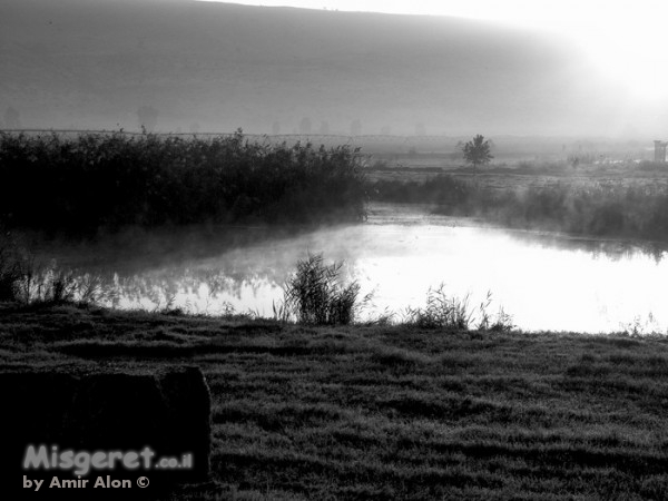 נוף פסטורלי