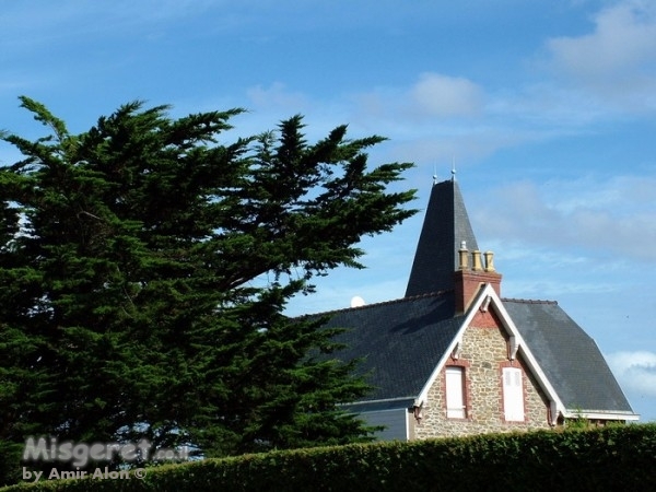 מאחורי השיחים