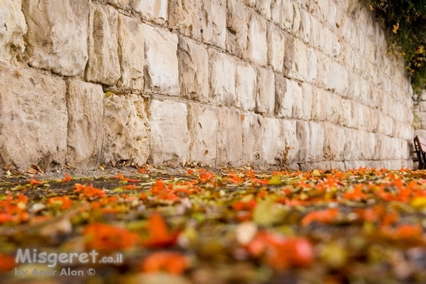 מדרכה חורפית