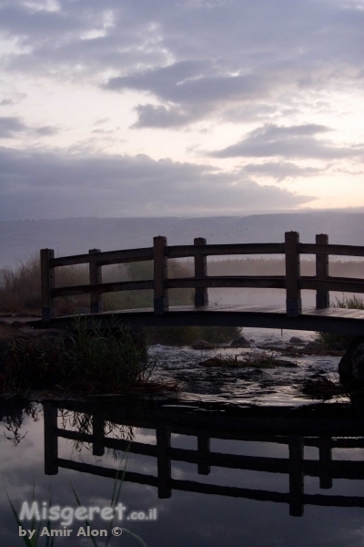 זריחה סגולה