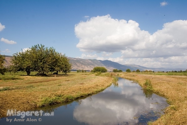השתקפות שמשית