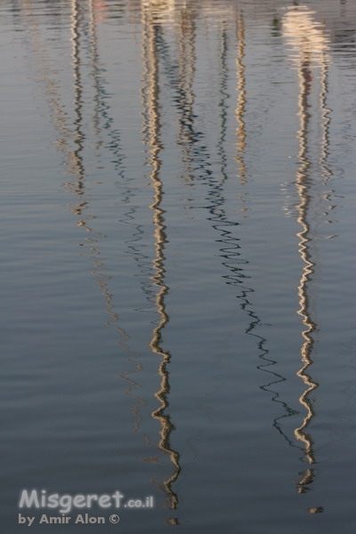 תרנים משתקפים