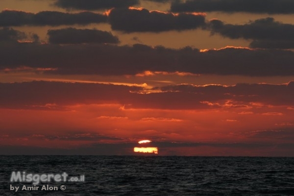 להתראות נחשולים