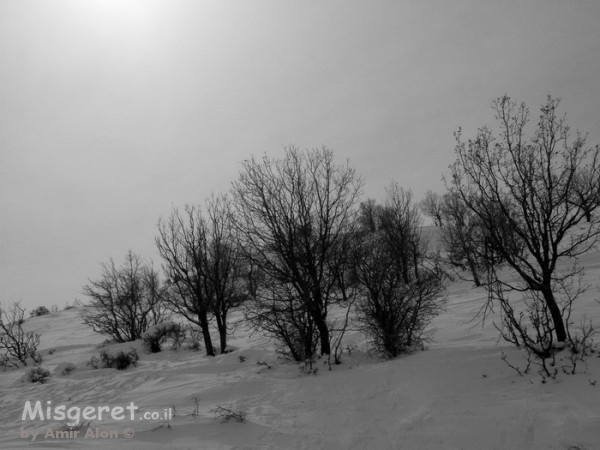 זריחה על חרמון