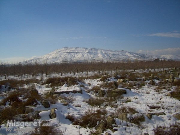 שדות מושלגים