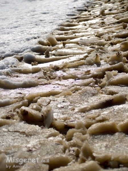 עקבות טרקטור