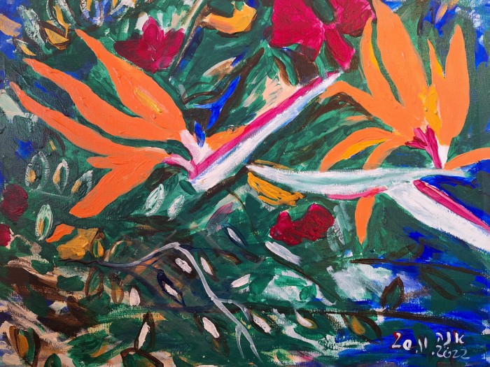 ציפורני החתול