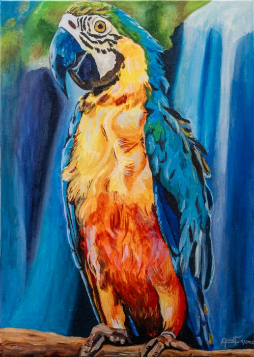 Ara Parrot