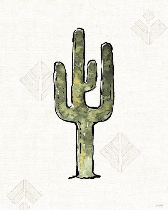 קקטוס אינדיאני