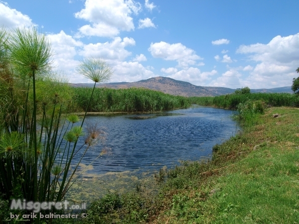 בשמורת החולה 2