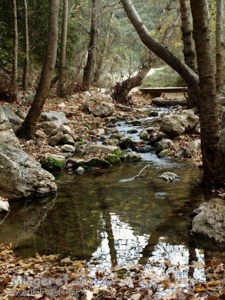 בנחל כזיב 1