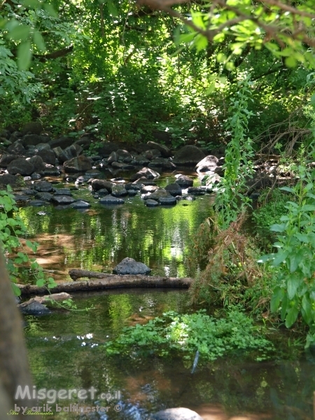 חלקת אלוהים הקטנה