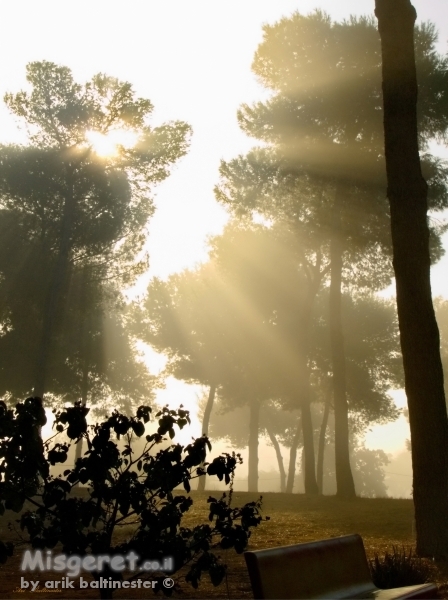 זריחה מעורפלת....